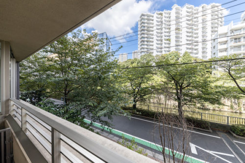 バルコニーからの眺望、桜並木を見渡せます