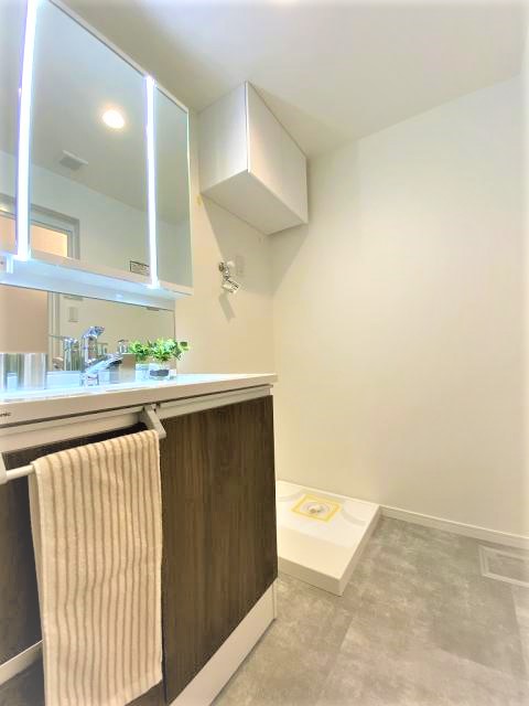 独立洗面化粧台、洗濯機置場