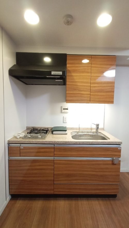 キッチン、吊戸棚つき