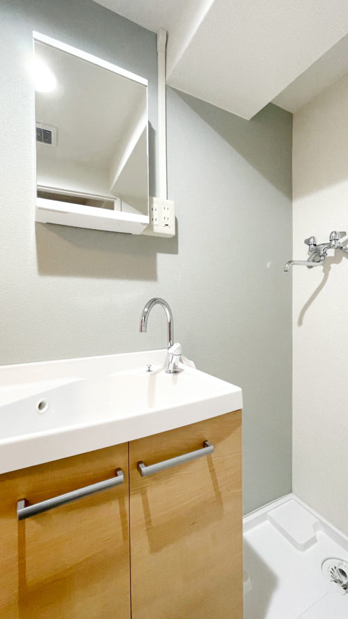 独立洗面台と室内洗濯機置き場