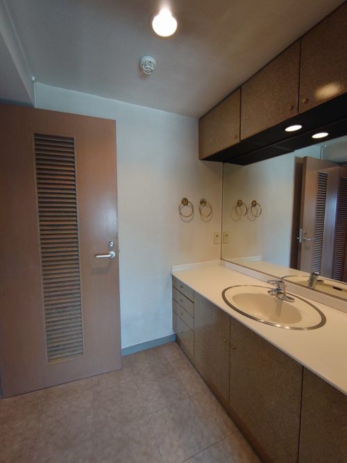 たっぷりな収納付きの洗面室