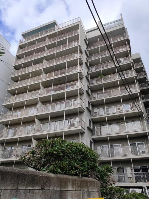 外観、南側より