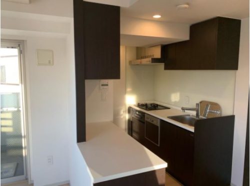 カウンターキッチン、浄水器、食器洗浄乾燥機、ディスポーザー