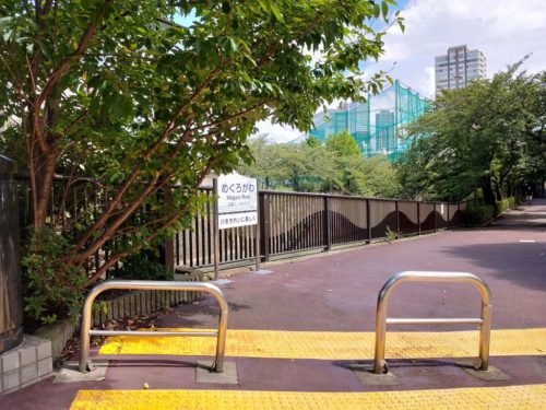 周辺環境、目黒川