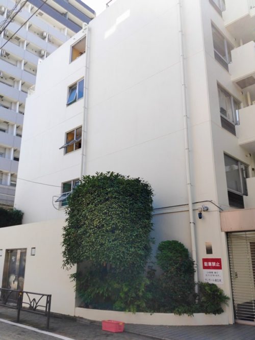 外観、西側より