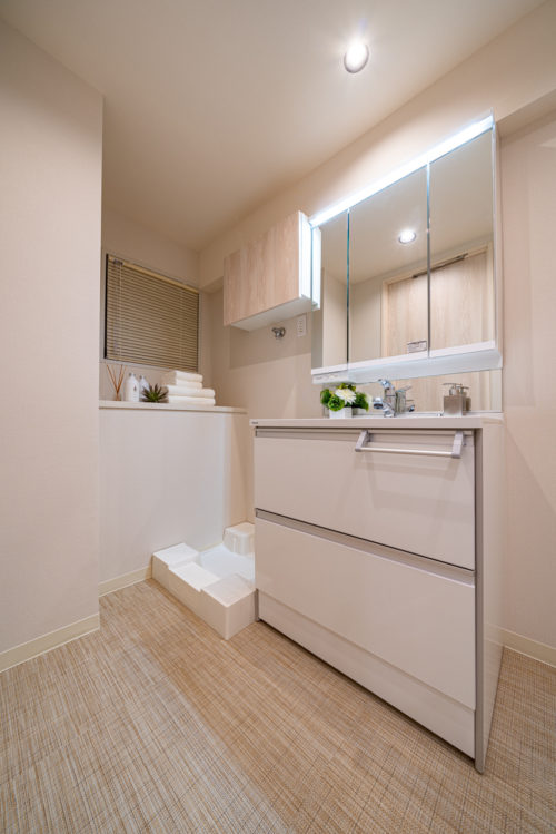 洗面室、独立洗面化粧台、室内洗濯機置場