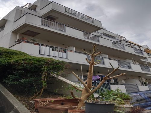 外観、北西側より