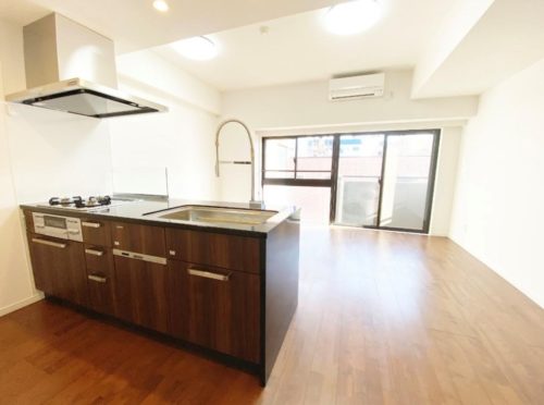 リビング、ダイニング、バルコニー、キッチン、食器洗浄機付き