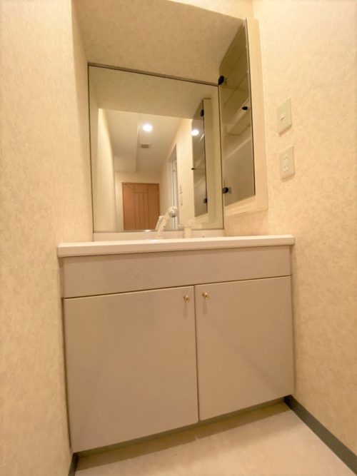 パウダールーム、シングルレバーシャワー水栓