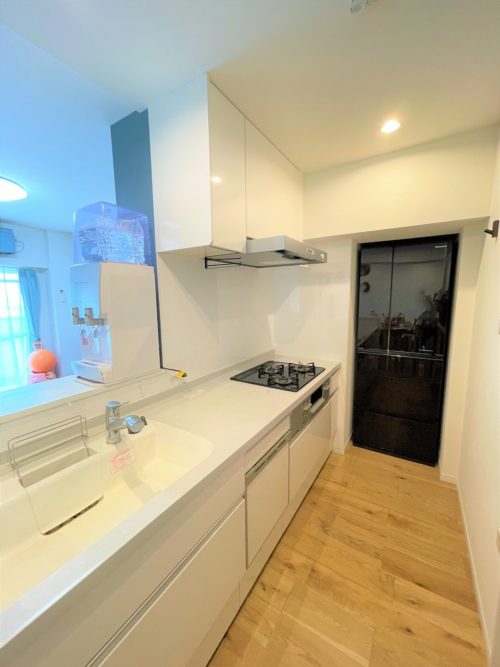 システムキッチン、食器洗浄乾燥機、浄水器