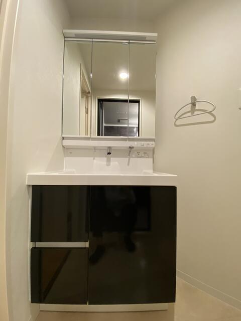 洗面台、ホース収納型シャワー付き