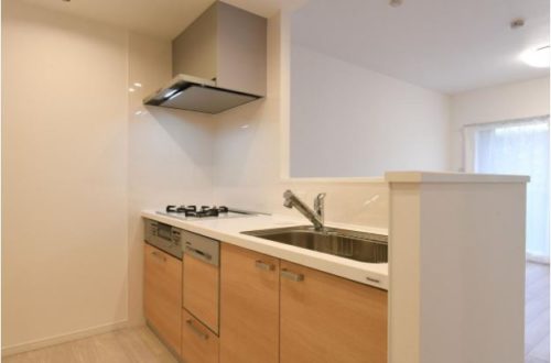 食器洗い乾燥機・浄水器付システムキッチン